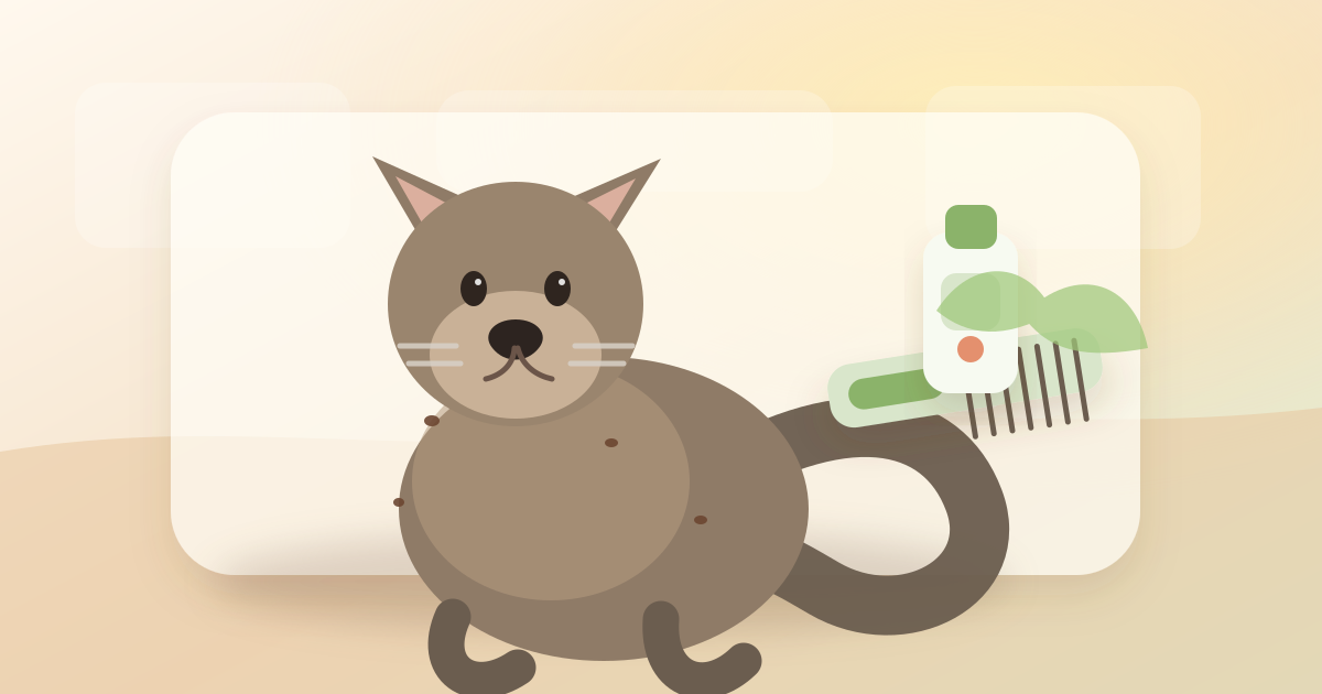 ภาพแมวในบ้านกับหวีและของใช้ดูแลเห็บหมัด