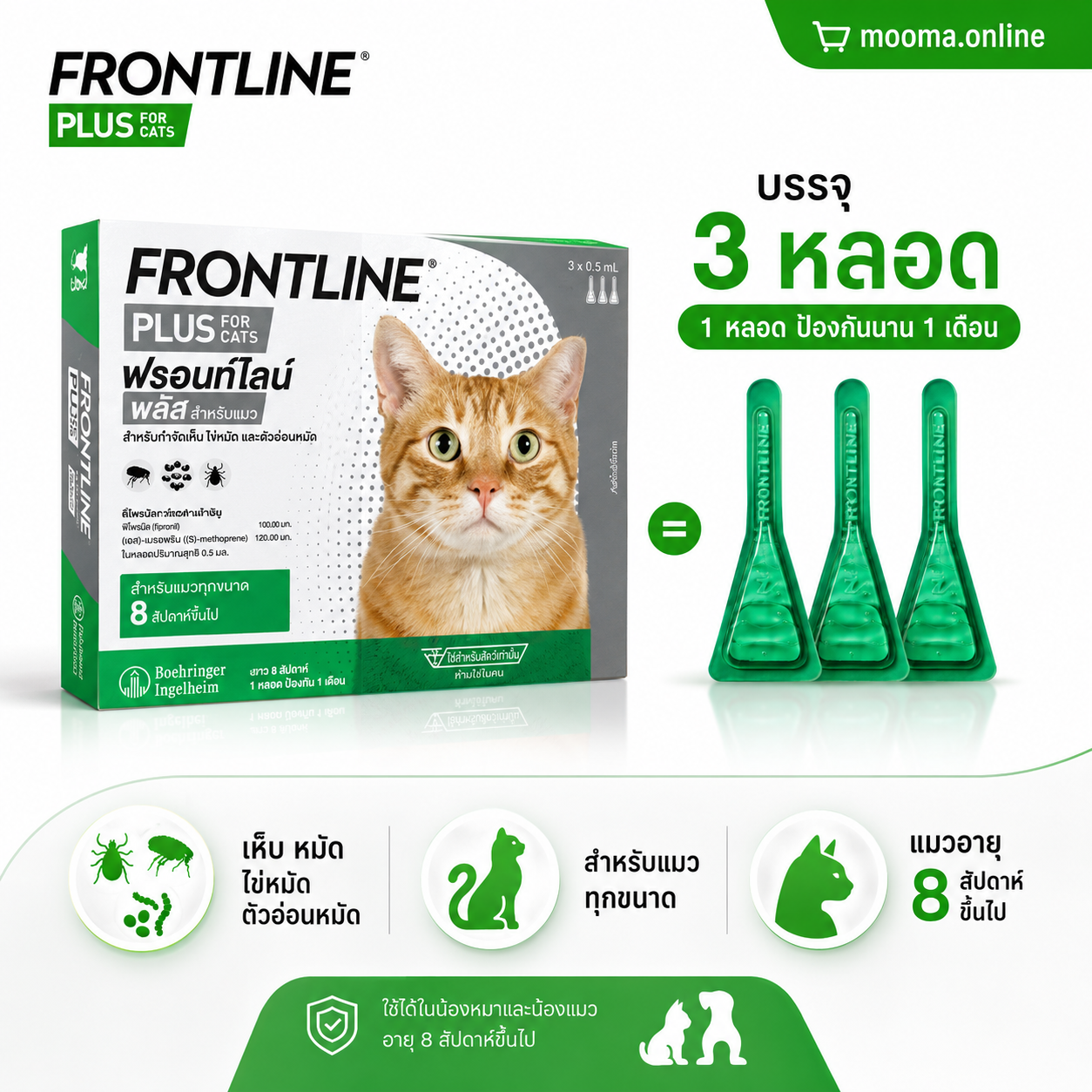 FRONTLINE PLUS CAT ยาหยอดกำจัดเห็บหมัดแมว รูปสินค้า 4