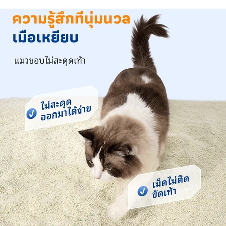 LORDE Cat Litter ทรายแมวมันสำปะหลังลดกลิ่น