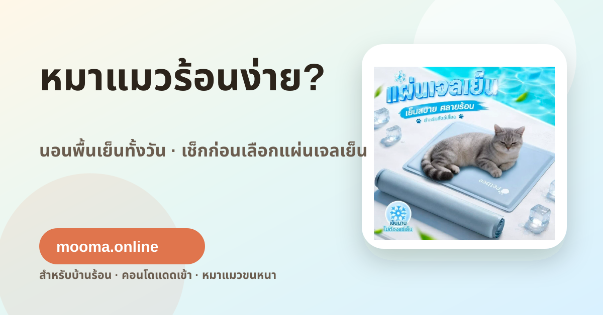 หมาแมวร้อนง่าย เช็กก่อนเลือกแผ่นเจลเย็นสัตว์เลี้ยง