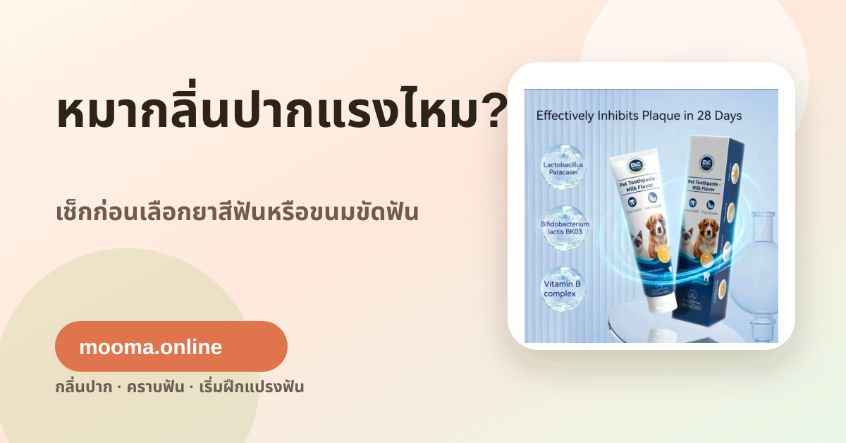 หมากลิ่นปากแรง เช็กก่อนเลือกยาสีฟันหรือขนมขัดฟันสุนัข